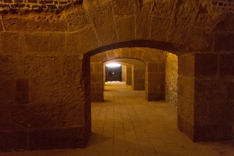 Built to Outlast: The Architectural and Intellectual Logic Behind Eastern Europe's Enduring Fortress Libraries