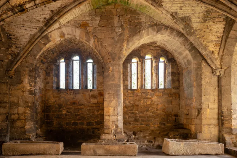 Parchment and Protocol: How Medieval Eastern European Monasteries Engineered a Knowledge Network Centuries Before the Internet